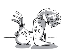 Karotte und Zwiebel 21.jpg